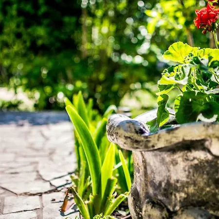 Near Sea & Beaches With Heated Pool & Bbq * Orebić