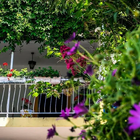 Villa Near Sea & Beaches With Heated Pool & Bbq Orebic